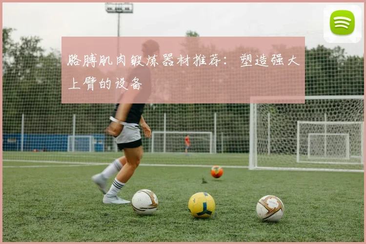 胳膊肌肉锻炼器材推荐：塑造强大上臂的设备