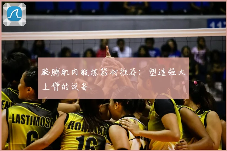 胳膊肌肉锻炼器材推荐：塑造强大上臂的设备