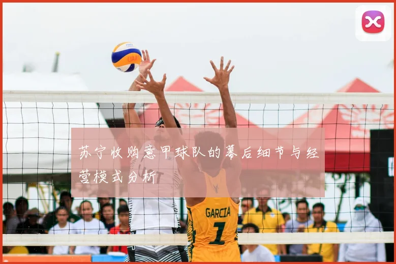 苏宁收购意甲球队的幕后细节与经营模式分析