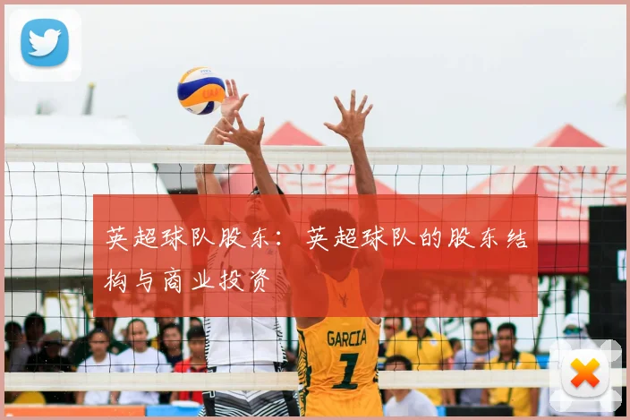 英超球队股东：英超球队的股东结构与商业投资