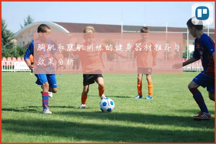 胸肌和腹肌训练的健身器材推荐与效果分析